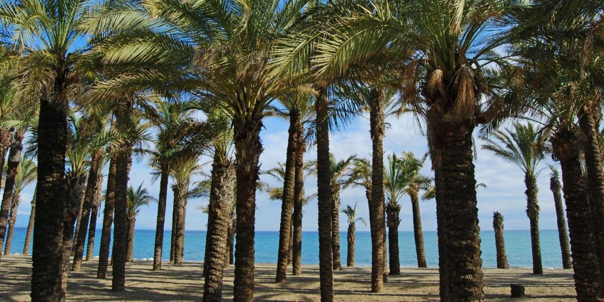 Apartamento Carole Playa Bajondillo Torremolinos Beach - Playa A 30 Segundos - Wifi - Parking - Terraza 아파트 외부 사진